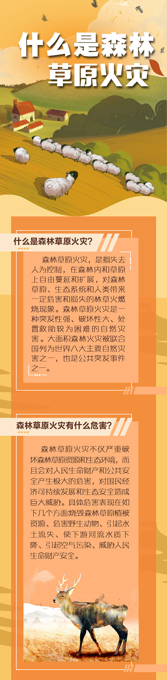 图解什么是森林草原火灾