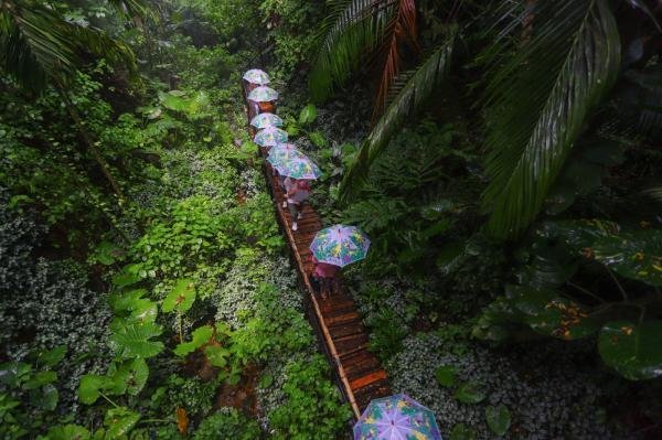 深圳青青世界热带雨林要另外收费吗?