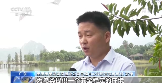 广东省肇庆市星湖国家湿地公园管理中心科研宣教部部长武锋(保证)有