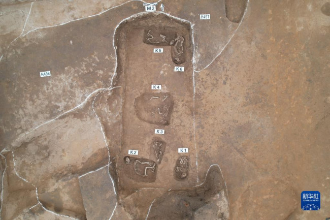 这是3月3日拍摄的郑州商城遗址高等级贵族墓M2底部的殉狗坑（无人机照片）。