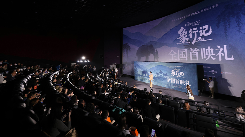 首部亚洲象主题IMAX原创纪录电影《象行记》 全国首映礼在北京举办