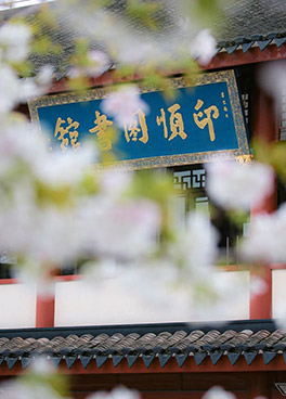 普陀山印顺图书馆书香弥漫，樱花怒放