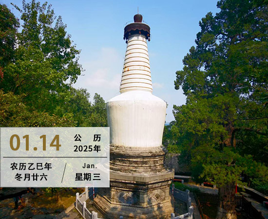 不念过往 不负当下