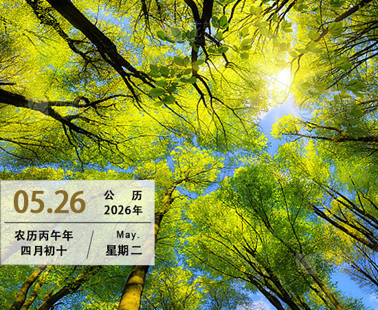 此君那不知