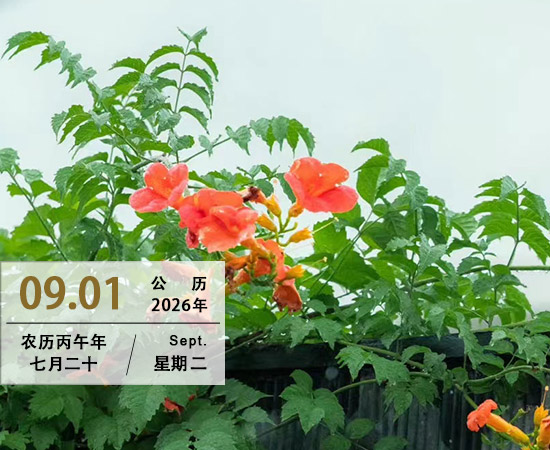 一颗平常心