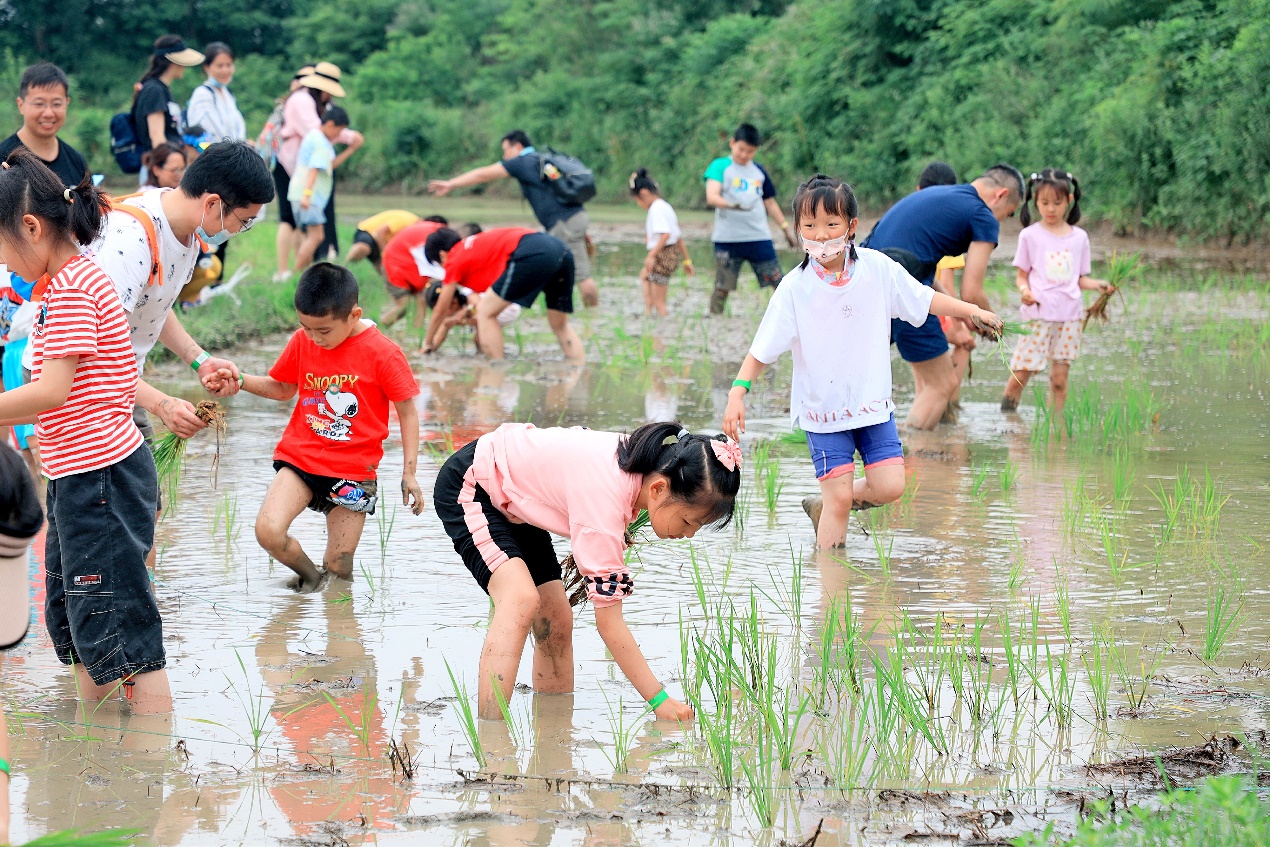 “共生 共荣 共享”浦发银行武汉分行举办系列夏季嘉年华活动