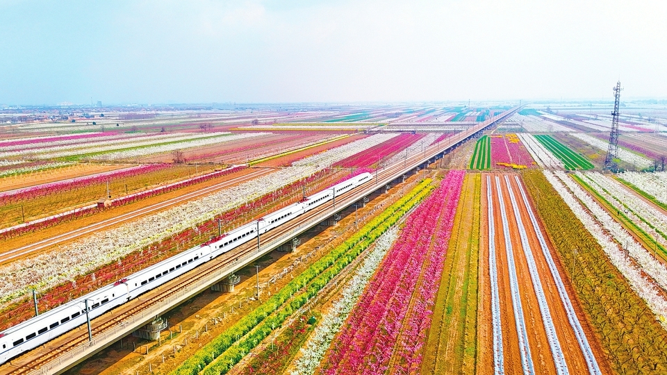 春满三晋 人间正暖