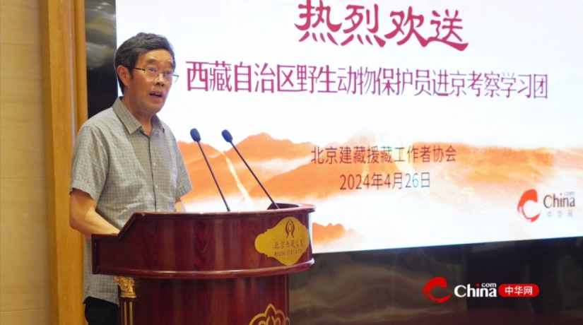  Tibetan Wildlife Conservator: Let Wildlife Conservation Work on Plateau Go to a New Stage