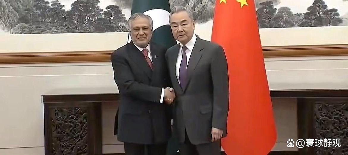 没有哪个国家能充当国际警察 反对单边霸凌