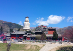 山西·忻州 Discover Shanxi's Springtime Beauty—Xinzhou Awaits You to Contemplate the “Spring Zen”