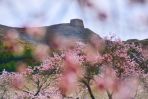 Spring Rambles in Shanxi: Shuozhou
