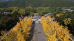 Jinci Temple: One Central Axis, Back to the Northern Song