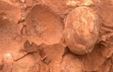 江西武宁发现恐龙蛋化石 距今约7000万年