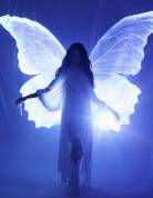 彭小苒穿白纱裙化身蝴蝶神女 清冷梦幻灵动脱俗