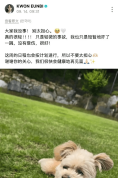 权恩妃车祸后报平安：只是轻微的事故，没有受伤