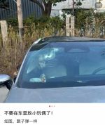 重要提醒，不要在车里摆玩偶！