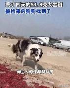 男子51.8克金链被狗狗找到 善意的双向奔赴