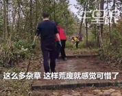 男子通过去公园清理杂草减肥20斤：既锻炼了身体又做了公益