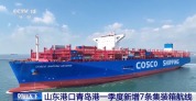 山东港口青岛港一季度新增7条集装箱航线