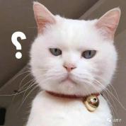 凌晨5人拎“野菜”看急诊 医生提醒 误食有毒植物需谨慎