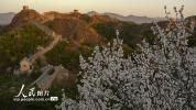 河北滦平：春日金山岭长城美如画卷