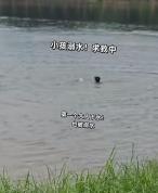 2名小孩和救人者均溺水男子连救3人 英勇事迹引发网络热议