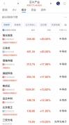 A股午盘:超4000只个股上涨百股涨停 市场全线大涨