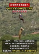 南非失踪商人疑被鳄鱼吞食 巨型鳄鱼腹中发现遗骸