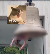 女表演者艺术展上半裸倒挂当钟锤 表演形式引争议