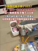 一只狗靠捡瓶子攒了十万？视频收入助力梦想
