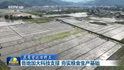 各地加大科技支撑 夯实粮食生产基础