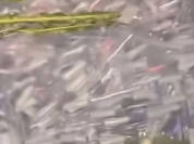 沟渠现大量注射器 官方：已打捞完毕 公共卫生风险可控