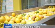 听劝！柠檬水别乱喝 并非人人皆宜