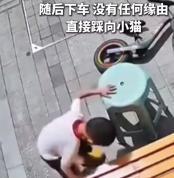 男童摔打脚踩小奶猫致其哀嚎流血 虐打完后直接骑车离开