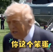 特朗普百忙之中又骂记者！
