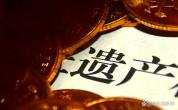 外甥女起诉舅舅返还母亲遗产 遗嘱与证据成焦点