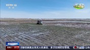 盐碱地治理、农文旅融合 全国春灌拿出“妙招”