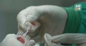首次，首项，首个！本周我国多领域实现突破