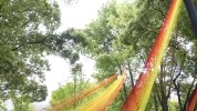 不只是花卉节限定!“花园漂流”让城市景观可持续