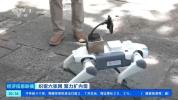 导游机器人外卖机器狗上岗 5G-A网络助力智能体验