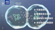 我国领衔亚洲首个合成细胞十年技术路线图发布