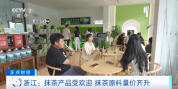暴涨700%！全球爆单！又一新蓝海，来了