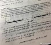 王楚钦登上数学模考卷 网友趣评引发关注