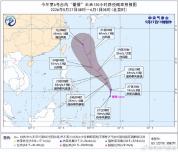 今年第6号台风“蔷薇”生成 向台湾岛以东洋面靠近