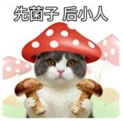女子吃见手青中毒 开车连撞两车 警惕“菌驾”风险