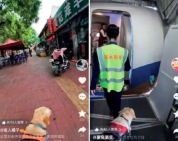 盲人博主怒斥抱抱盲兔摆拍 摆拍事件后多位盲人博主被质疑