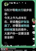 村民养狗致驴友坠崖？多方回应 真相待查