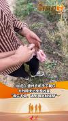 61岁“麦客”携女儿女婿跨三省助收 情谊真切暖人心
