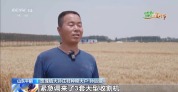 田间“数字哨兵”上岗 智能农机护航“三夏”丰收