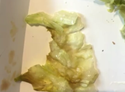 不吃生菜的顾客发现汉堡生菜变色 “粉丝”希望重视